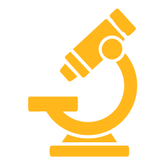 Youth Science Festival